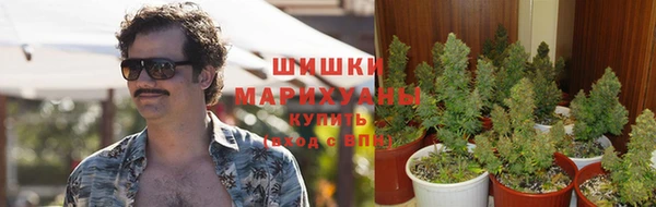 героин Алексин