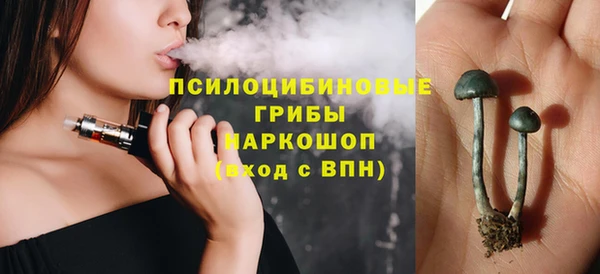 стафф Алзамай