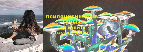 героин Алексин