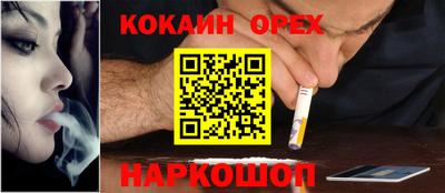 мяу мяу мука Камышлов