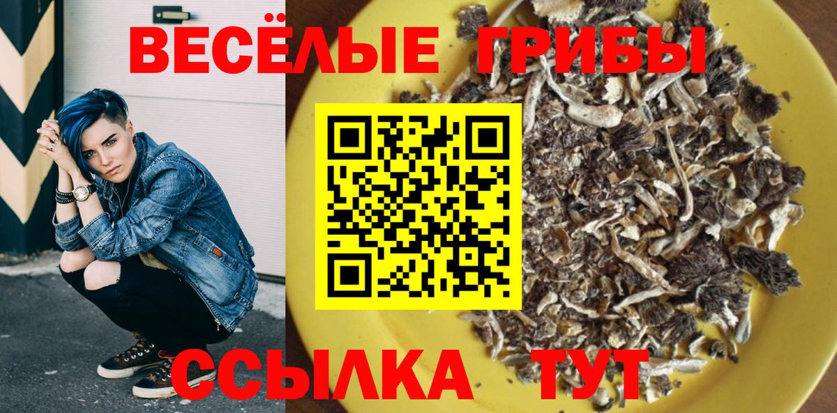 Мичуринск  Псилоцибиновые грибы ЛСД  Вход с VPN 